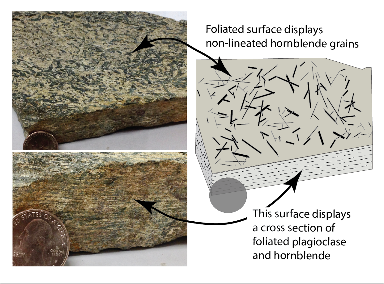 Three images: on the left are two photos of a rock sample, one viewed from the top and one viewed from the side; along the top, elongate black crystals have random orientation embedded within tan matrix but on the side, the black crystals have visible layering with the tan matrix; on the right is a schematic grayscale drawing of the rock sample with two arrows: one pointing to the top labeled "Foliated surface displays non-lineated hornblende grains" and another pointing to the side labeled "This surface displays a cross section of foliated plagioclase and hornblende."