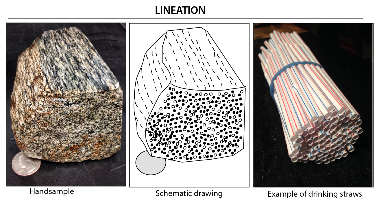 Three images: on the left is a photo of a rock sample with elongated tan and black linear minerals visible along on the sides which are seen as dots where they terminate at the rock face perpendicular to the lines; in the middle is a schematic black and white drawing of the rock sample; and on the right is a photo of a bundle of plastic drinking straws that are held together with a rubber band wrapped around them.