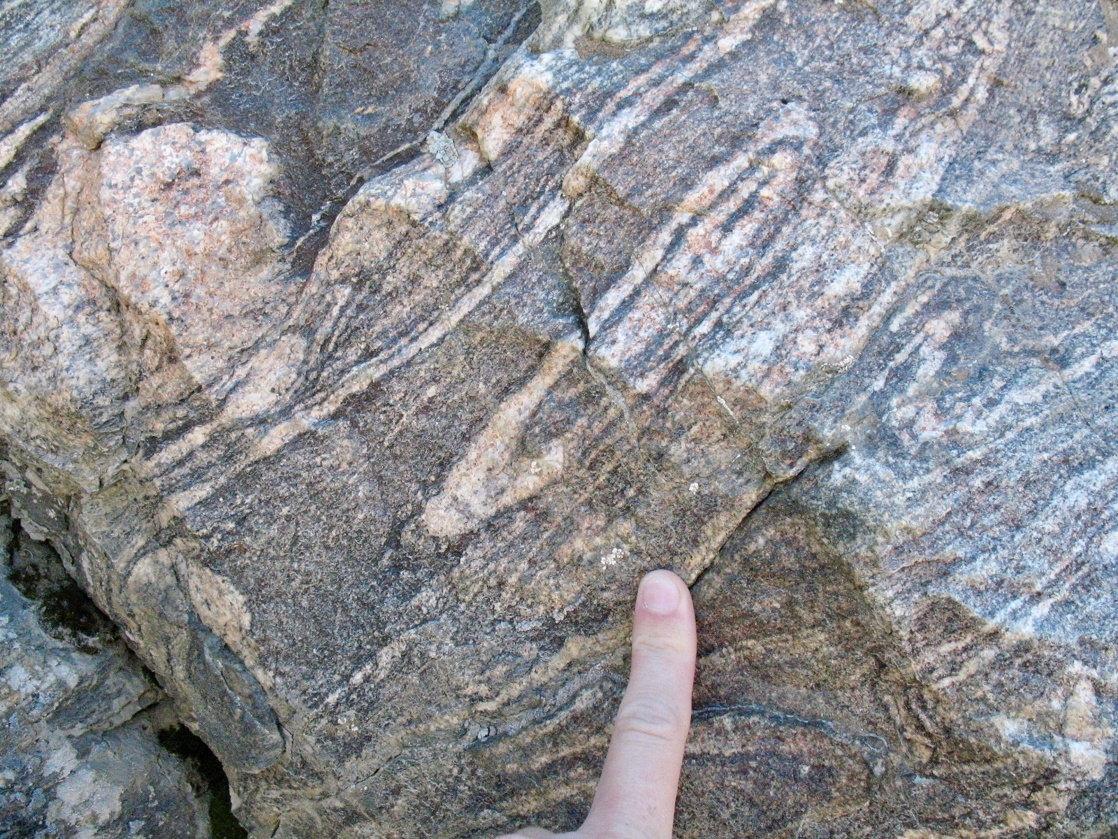 Rock that has distinct black and white swirling bands; a person's finger points to the rock for scale.