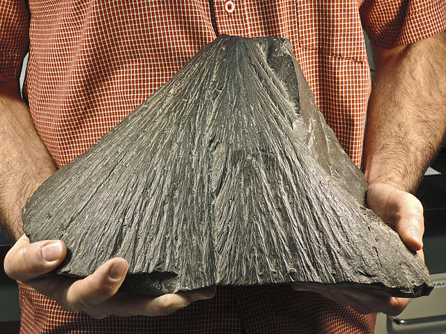 Person holding a cone-shaped rock with lines running along the exterior that converge toward the point of the cone.