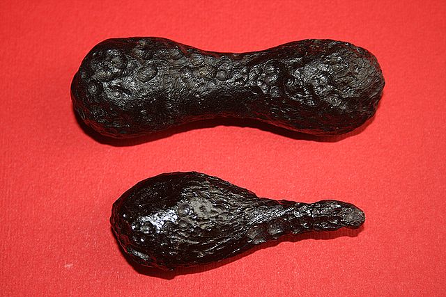 Two elongated dark brownish black shiny rocks, one resembling the shape of a dumbbell and the other resembling the shape of a teardrop.