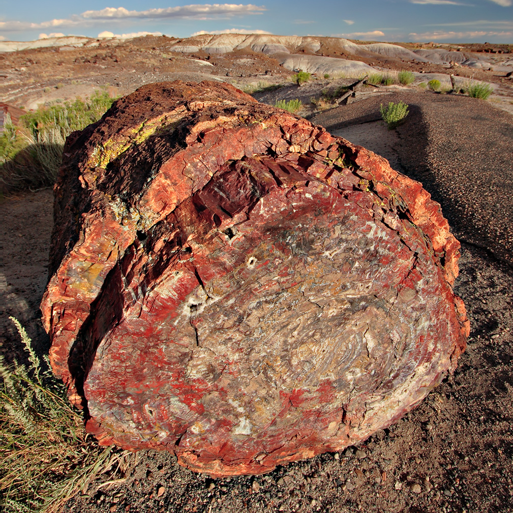 The rock is in the shape of a large tree log with red and yellow minerals running throughout the rock. The surrounding landscape are gray and tan badlands.