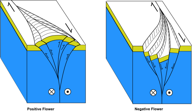 Block diagrams of mountains or basins in flower structures.