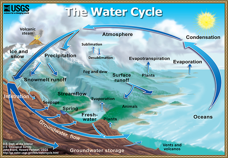 A diagram depicting the continuous movement and transformation of water on Earth. The diagram shows a circular process with labeled arrows and key components: starting with the evaporation process, an arrow indicates water vapor rising from bodies of water into the atmosphere; condensation is represented by arrows showing the transformation of water vapor into clouds; precipitation is denoted with arrows indicating the falling of rain or snow from clouds back to the Earth's surface; surface runoff and infiltration are demonstrated by arrows showing water flowing over the land or seeping into the ground; arrows depicting the processes of plant uptake and transpiration are shown where water is absorbed by plants and released into the atmosphere through their leaves.
