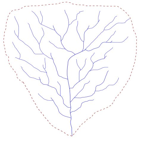 Schematic map view of a drainage basin: the main trunk stream has many branching tributaries and the drainage divide encircles all of the streams as a dashed red line.