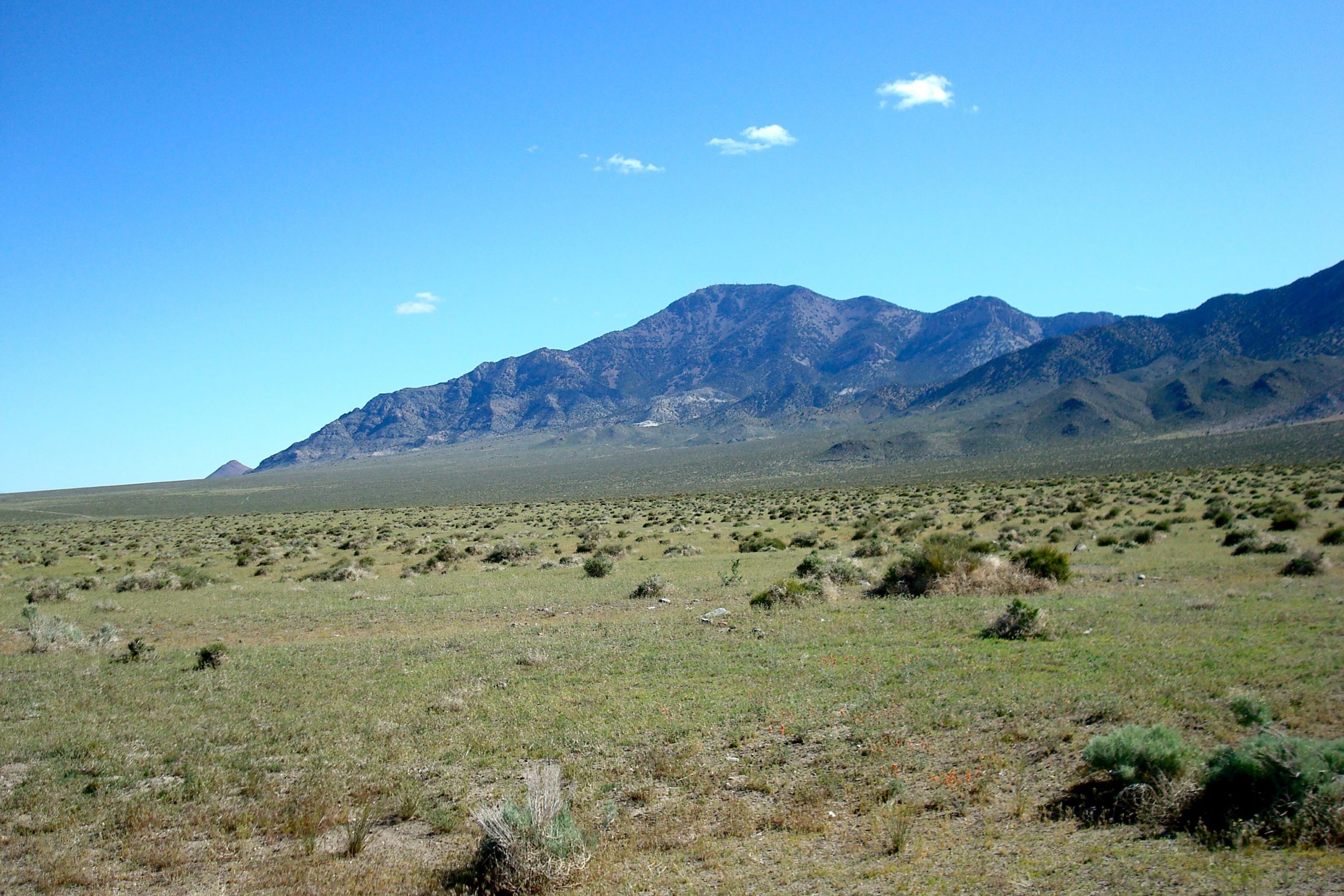 Photo of mountains where alluvial fans have coalesced into a single apron of sediment along the mountain front.