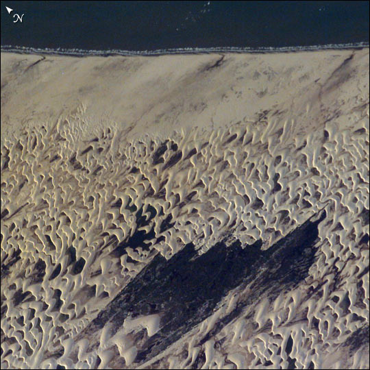 Satellite image of a field of barchan dunes, each showing characteristic crescent shapes with the wings pointing in the direction of prevailing winds.