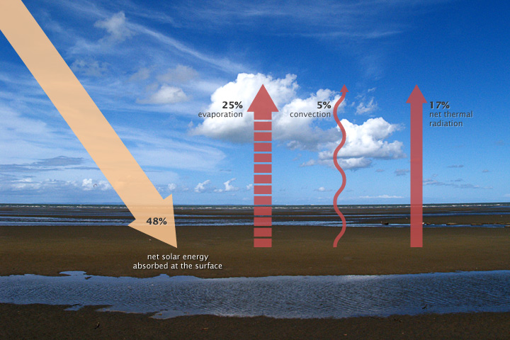 Incoming solar radiation reaching the surface (48% net solar energy) and changing into longwave radiation (25% evaporation, 5% convection, 17% net thermal radiation) that radiates into the atmosphere.