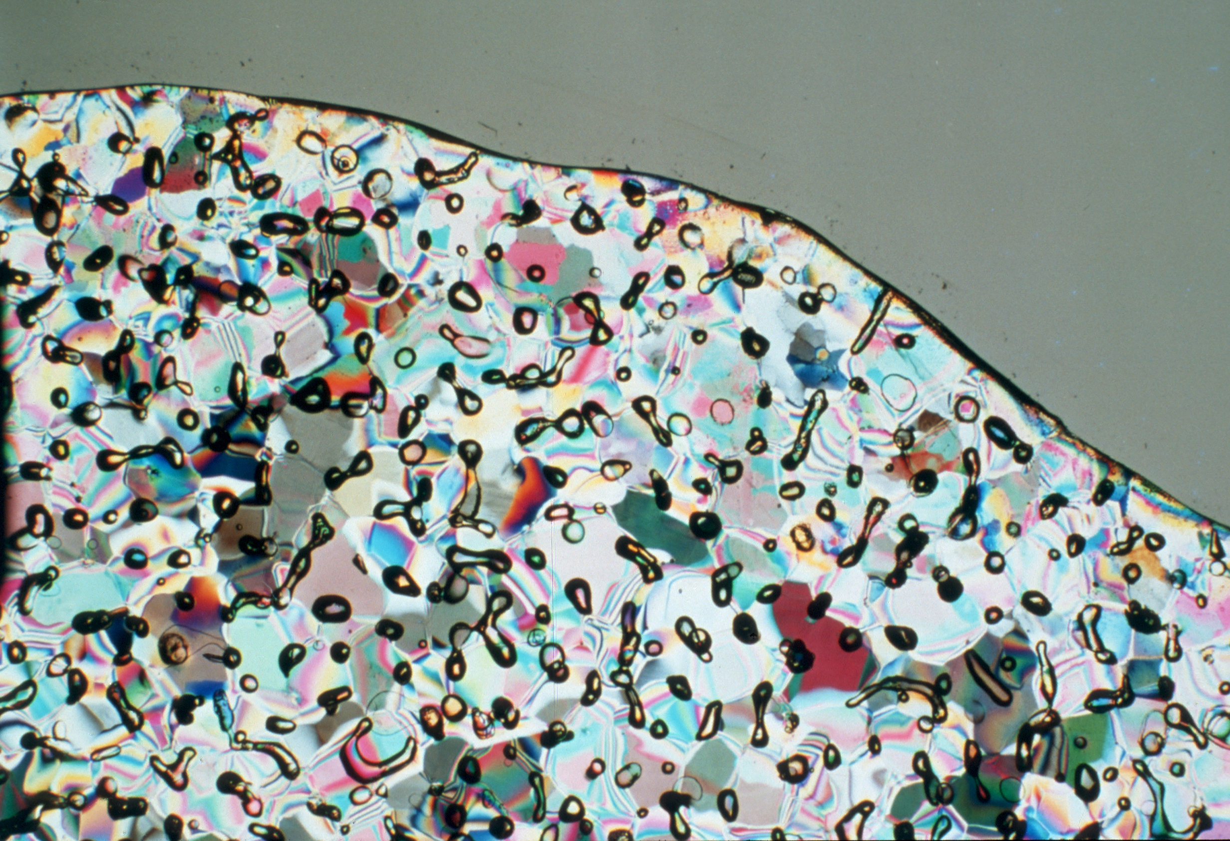 A thin section of Antarctic ice showing hundreds of tiny trapped air bubbles. The ice is illuminated with polarized light, producing a colorful effect.
