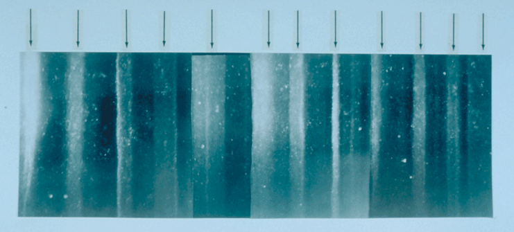 Photo of ice core with visible annual layers; 11 arrows point to lighter-colored summer layers sandwiched between darker winter layers.