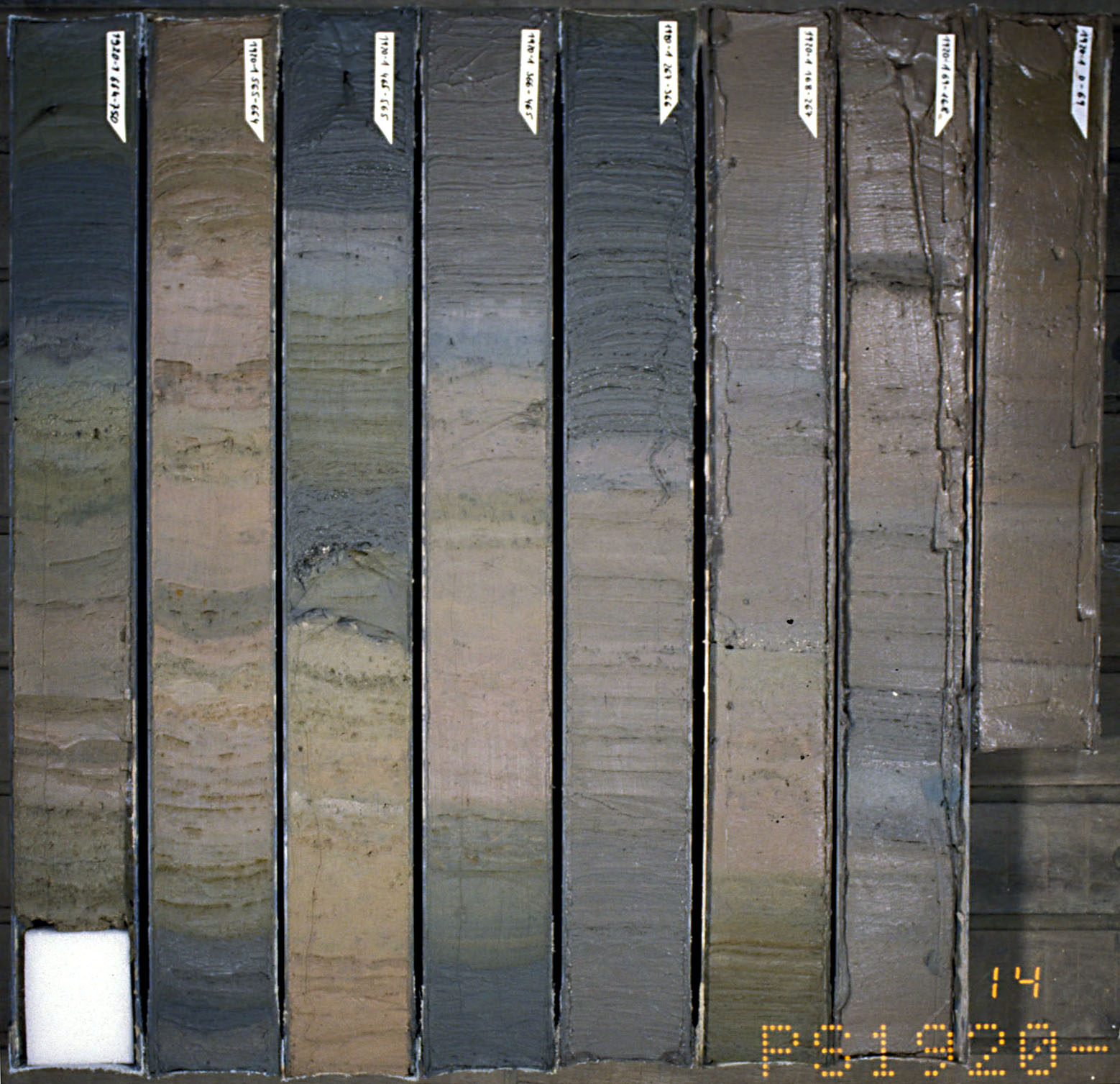 Image of 8 black, gray, brown, and tan sediment cores showing clear layering and vertical changes in color and composition.