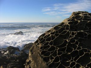 Tan rock with many holes resembling honeycomb with crashing ocean waves in the background.