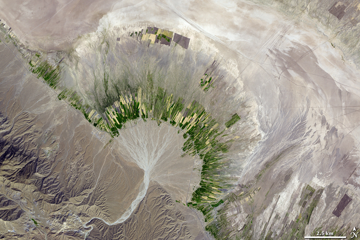 Satellite image of an alluvial fan in a tan desert landscape; a stream emerges from a canyon and creates a fan-shaped deposit that has rectangular green patches scattered at the edges of the deposit.