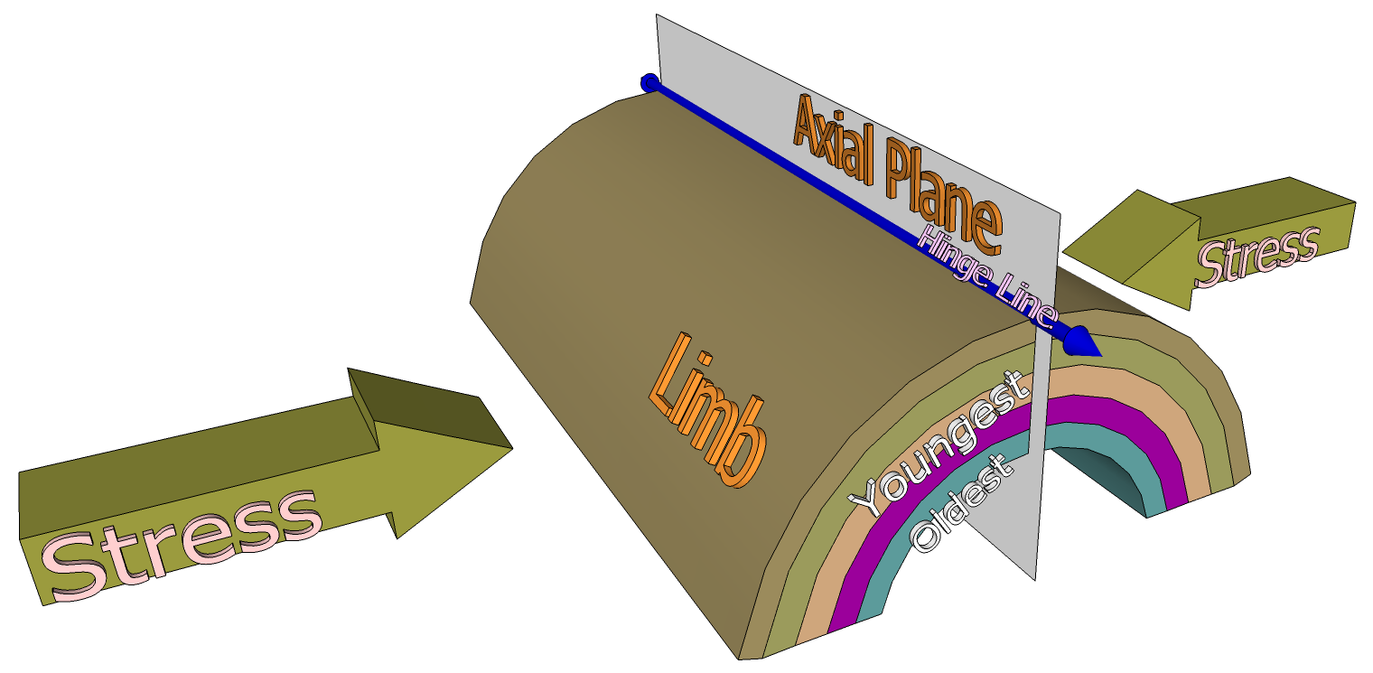 Model of anticline. Oldest beds are in the center and youngest on the outside. The axial plane intersects the center angle of bend. The hinge line follows the line of greatest bend, where the axial plane intersects the outside of the fold.