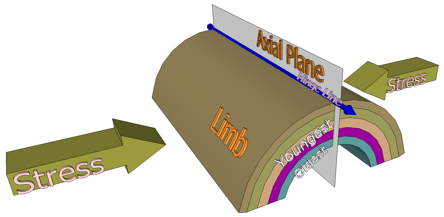 Model of anticline. Oldest beds are in the center and youngest on the outside. The axial plane intersects the center angle of bend. The hinge line follows the line of greatest bend, where the axial plane intersects the outside of the fold; two arrows point inward toward the axial plane labeled Stress.