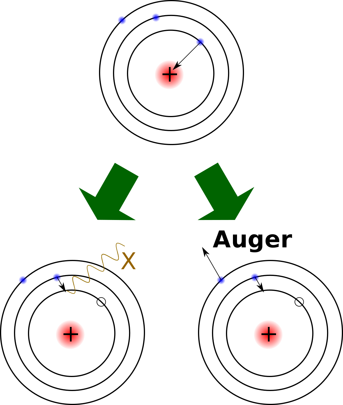 Three drawings of an atom arranged in a triangle shape with the bottom two diagrams coming from the top diagram: the top diagram shows an atom with a proton in the nucleus capturing an electron from the innermost of three electron shells circling the nucleus. The bottom left diagram shows an electron jumping inward to fill the missing spot of the departed electron and also emitting an X-ray outward; the bottom right diagram shows the outermost electron being released outward while the middle electron jumps inward to fill the missing spot of the departed electron.