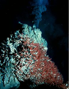 A black smoker hydrothermal vent at the bottom of the sea floor. There is a plume of black smoke coming from a cone-shaped extrusion of rock and a colony of tube worms are attached to the cone-shaped rock.