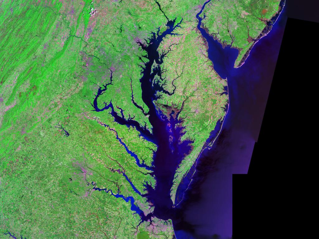 Landsat image of the east coast of the United States, centered on the Chesapeake Bay; there are numerous branching rivers leading to the bay and thing, elongate barrier islands located just off the eastern coast.