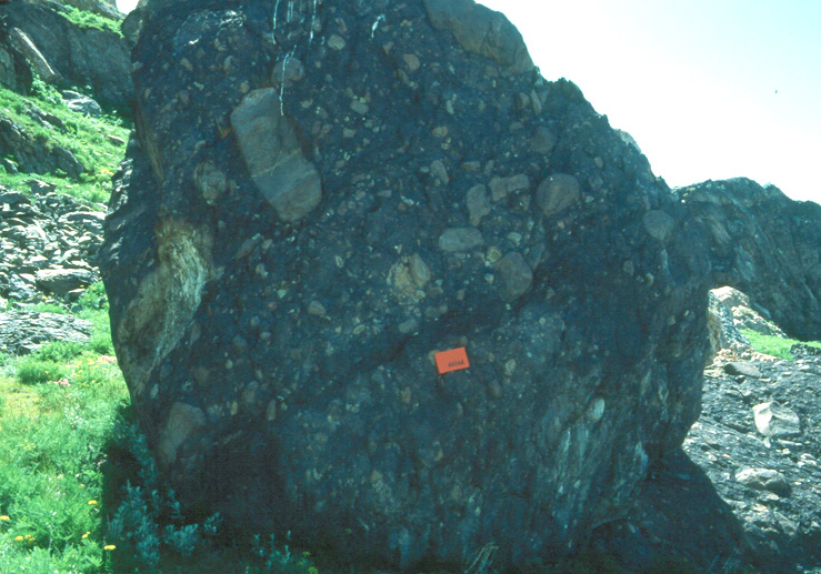 A large boulder, dark in color, with smaller lighter colored clasts of a range of sizes inside of it.
