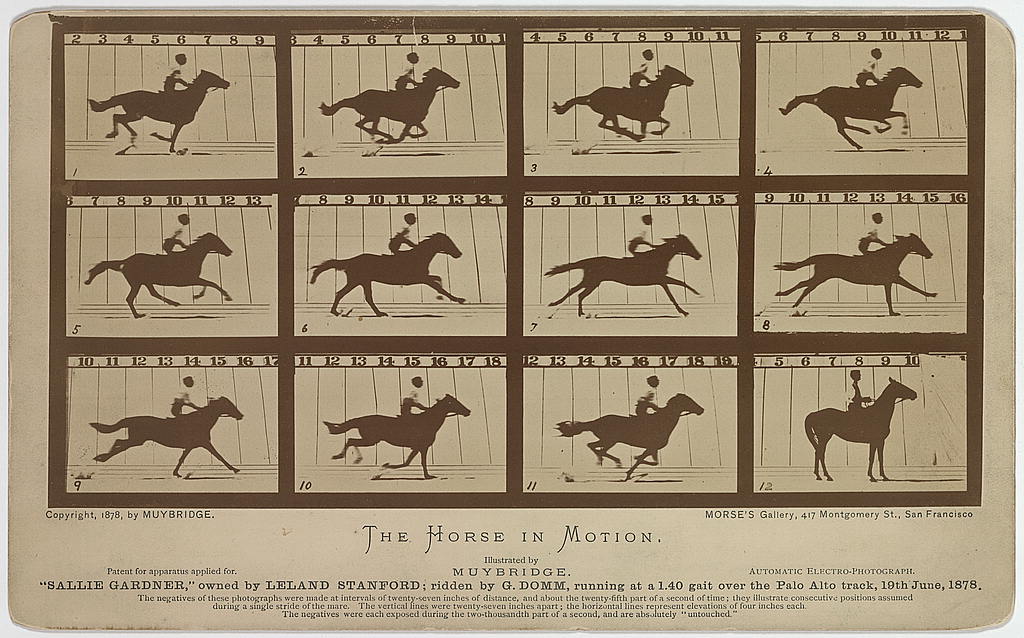There are 12 images of the horse, at least one has the legs off the ground.