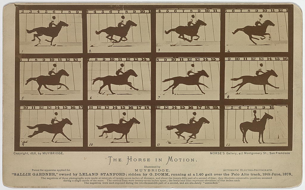 A grid of 12 images showing a horse throughout stages of galloping, some of which show that the horse lifted all 4 legs off the ground during the gallop.