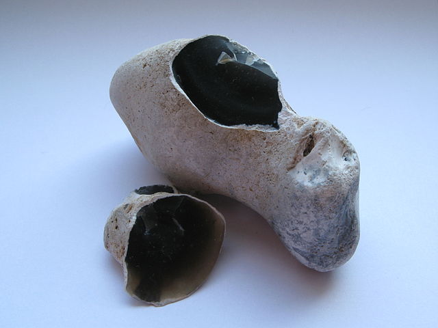 The flint is black, and the weathered crust around it is light tan. The overall shape is blobby, resembling the shape of a potato.
