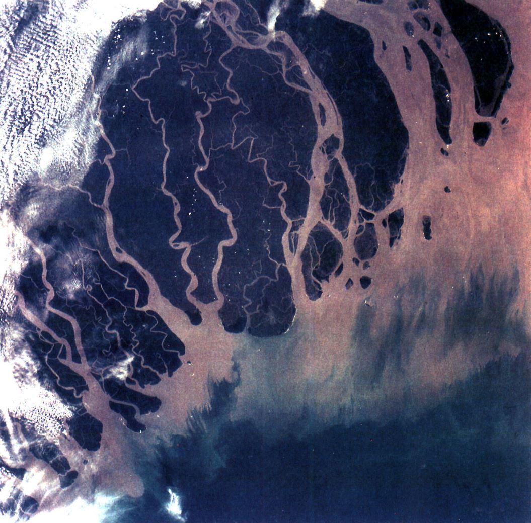 Satellite view of numerous roughly parallel tan-colored rivers leading to a larger body of tan water that becomes deep blue away from the mouths of the rivers.