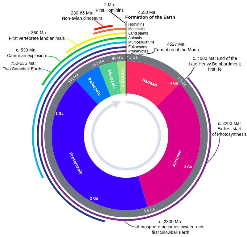 From oldest to newest time divisions: Hadean, archean, proterozoic, paleozoic, mesozoic, cenozoic. 4550 Ma: formation of the earth. 4527 Ma: formation of the moon.4000 Ma: end of the late heavy bombardment; first life. 3200 Ma: earliest start of photosynthesis. 2300 Ma: atmosphere becomes oxygen-rich; first snowball earth. 750-635 Ma: two snowball earths. 530 Ma: cambrian explosion. 380 Ma: first vertebrate land animals. 230-66 Ma: Non-avian dinosaurs. 2 Ma: first hominins.