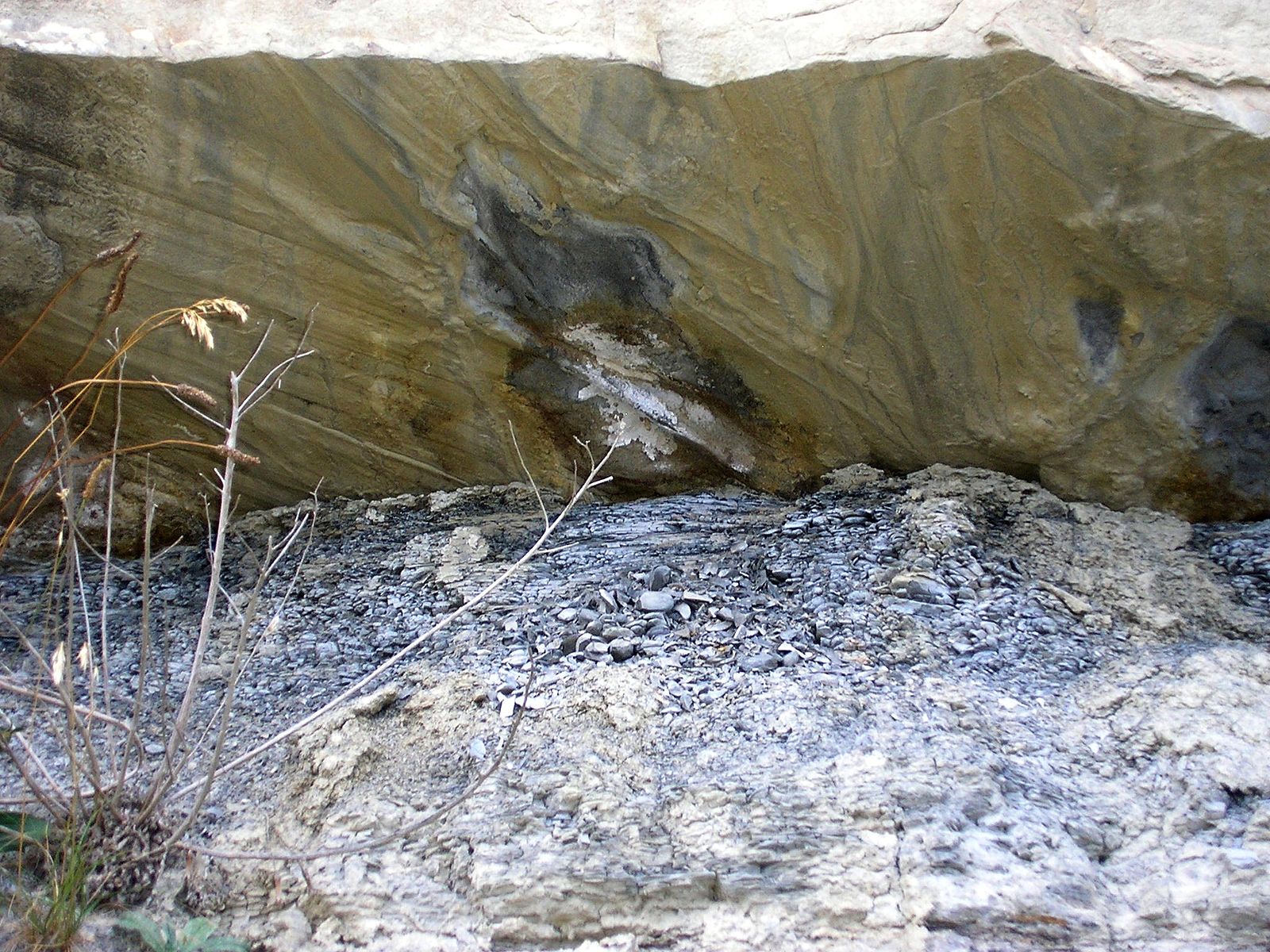A view of the bottom of a tan and gray rock with visible narrow, parallel ridges that go across the base of the rock.