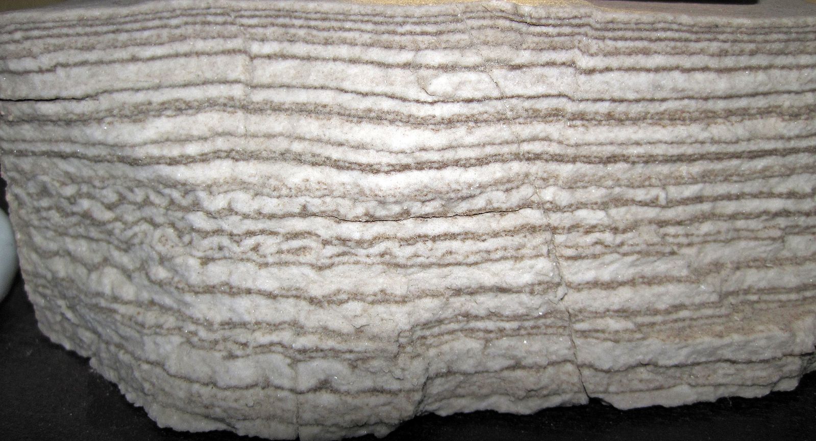 Cross sectional view of a rock with alternating thicker white and thinner brown layers.