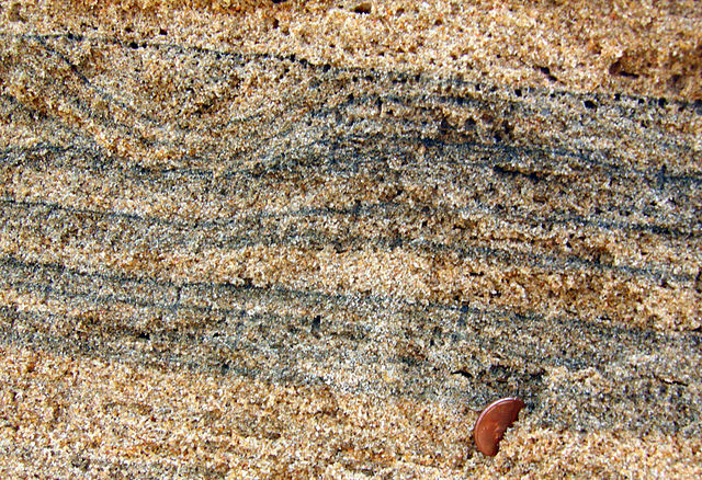 Side view of a sand deposit that has layers of tan sand interbedded with layers of gray and black sand; a penny is stuck into the sand for scale.