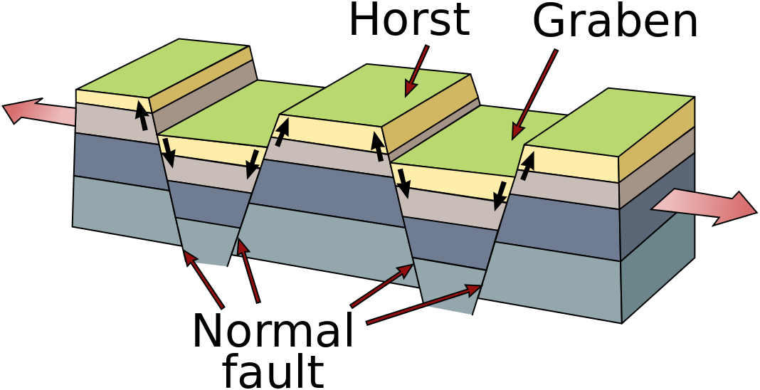 Block diagram showing a series of three uplifted horsts with a downthrown graben between each horst; the entire area extends with arrows pointing outward; there are normal faults at each of the contacts between horsts and grabens.