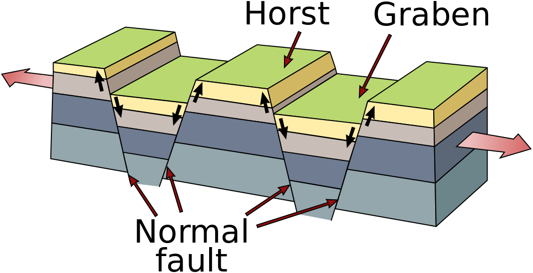 Block diagram showing flat-lying layers being pulled apart, forming normal faults throughout the diagram that allow some blocks to drop down called grabens between high blocks called horsts.