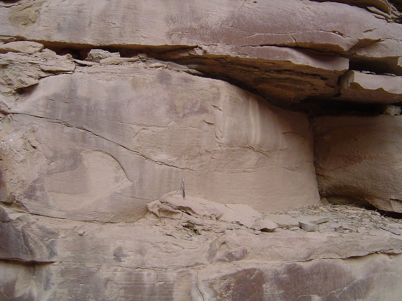 Tan rock with visible bumpy and undulating lines in the rock; a pencil rests vertically against the rock face for scale.