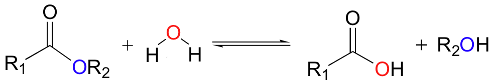 Diagram showing hydrolysis; on the left hand side are two molecules, one of which is water; on the right hand side are two new molecules, resulting after water has broken the first molecule's chemical bond.