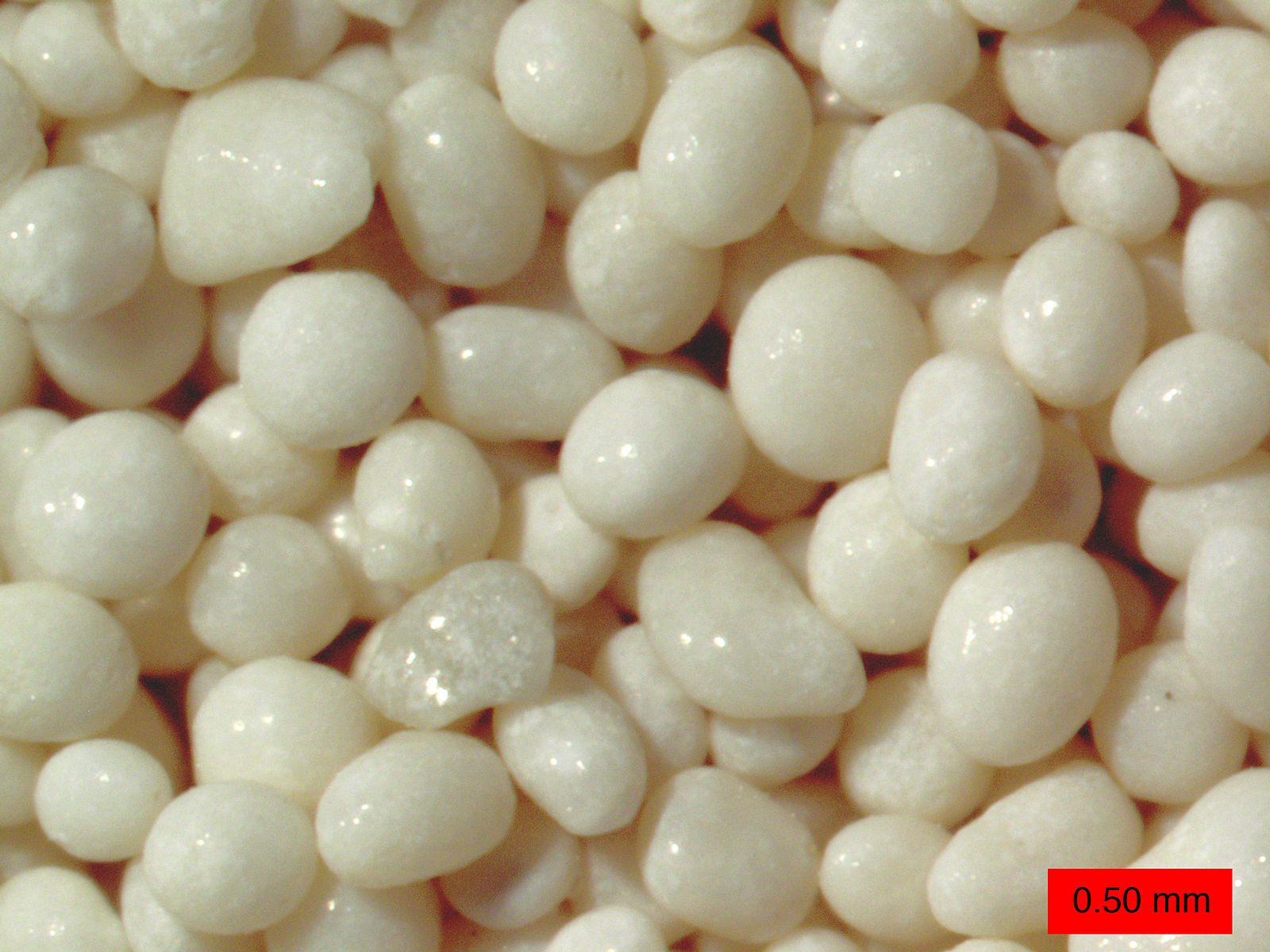 Zoomed-in photo of a cluster of pearly white smooth, rounded grains; a scale bar at the lower right says 0.50 mm.