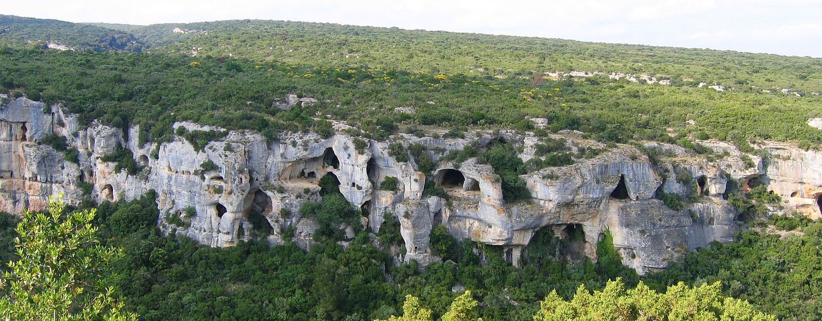 White-gray cliffside with numerous caves and holes throughout; the base and top of the cliffs are covered in green vegetation.