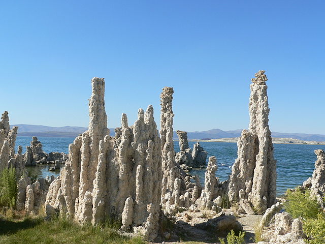 Whitish gray limestone towers stick vertically out of the ground, resembling thin spires with rough rounded sides.