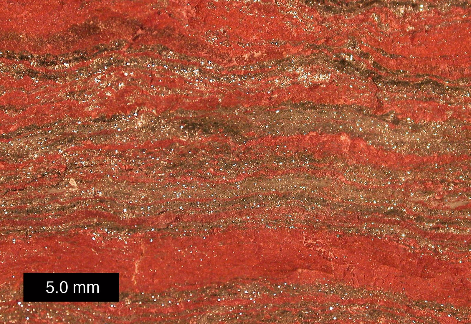 Zoomed-in photo of a slice of rock, showing red and brown layers with glittering dots throughout; a scale bar at the lower left says 5.0 mm.