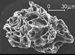 Micrograph of silica particle in volcanic ash. A cloud of these is capable of destroying an aircraft or automobile engine.
