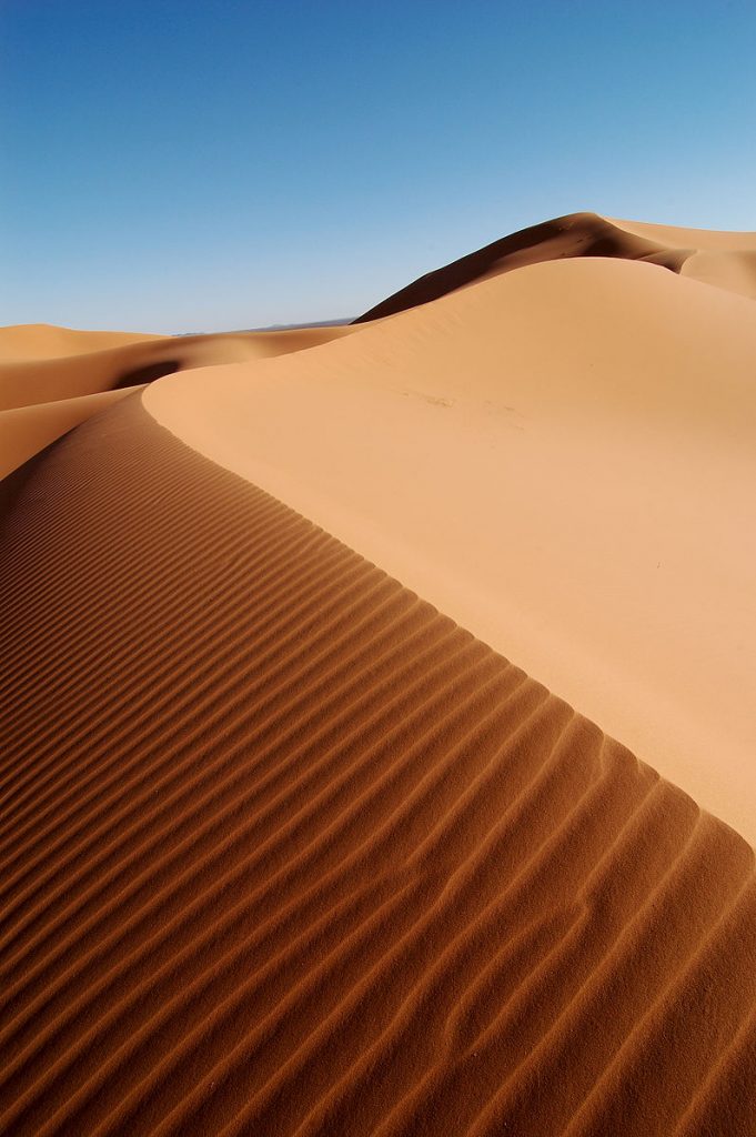 The tan sand dune is rippled on the left, steeper side and smooth on the right side.