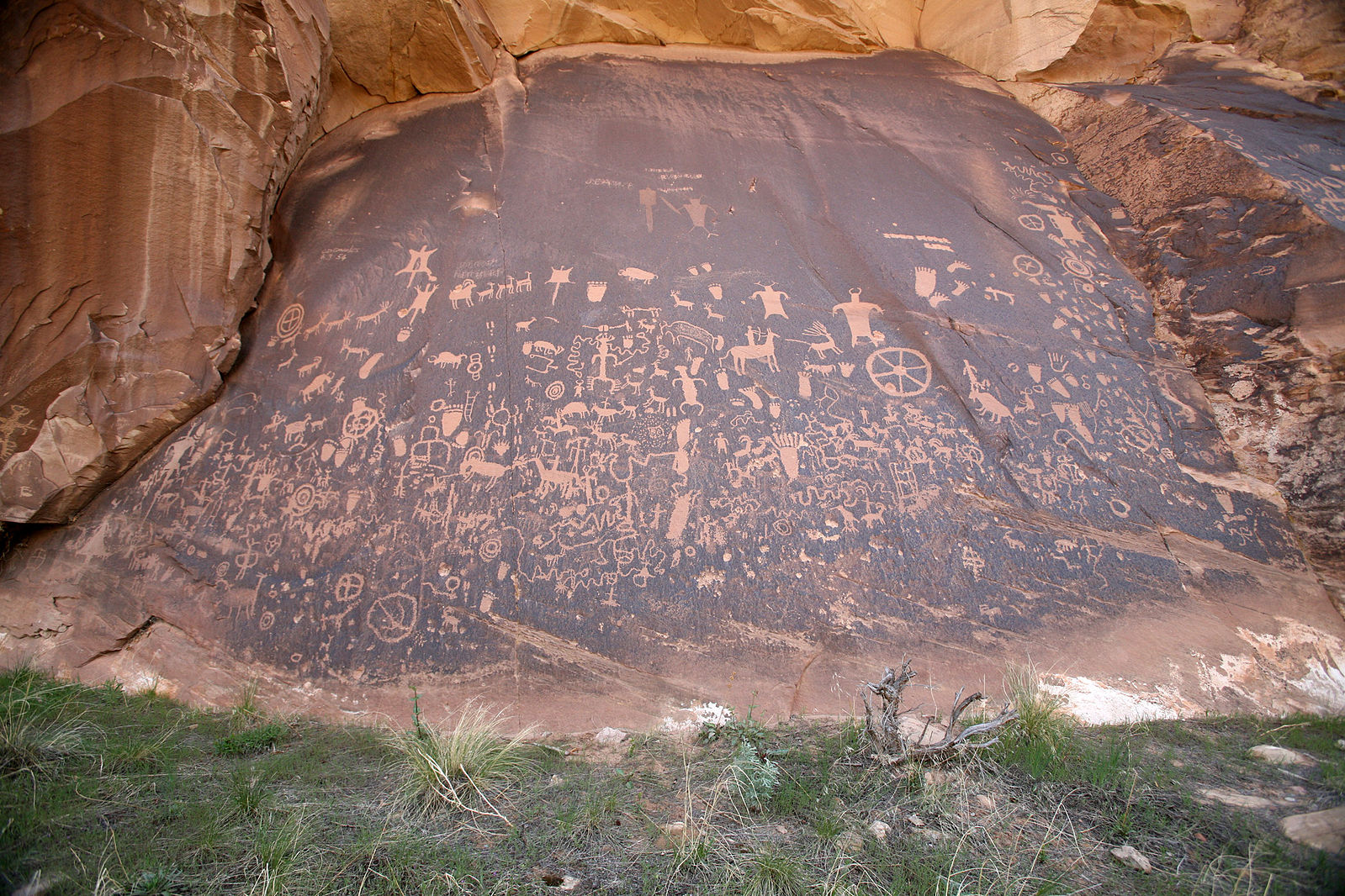 The rock is dark brown with petroglyphs
