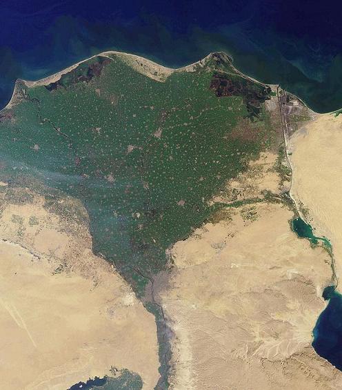 Satellite view of a land-sea boundary with a green fan-shaped delta between the edge of tan land and deep blue ocean, widening toward the ocean.