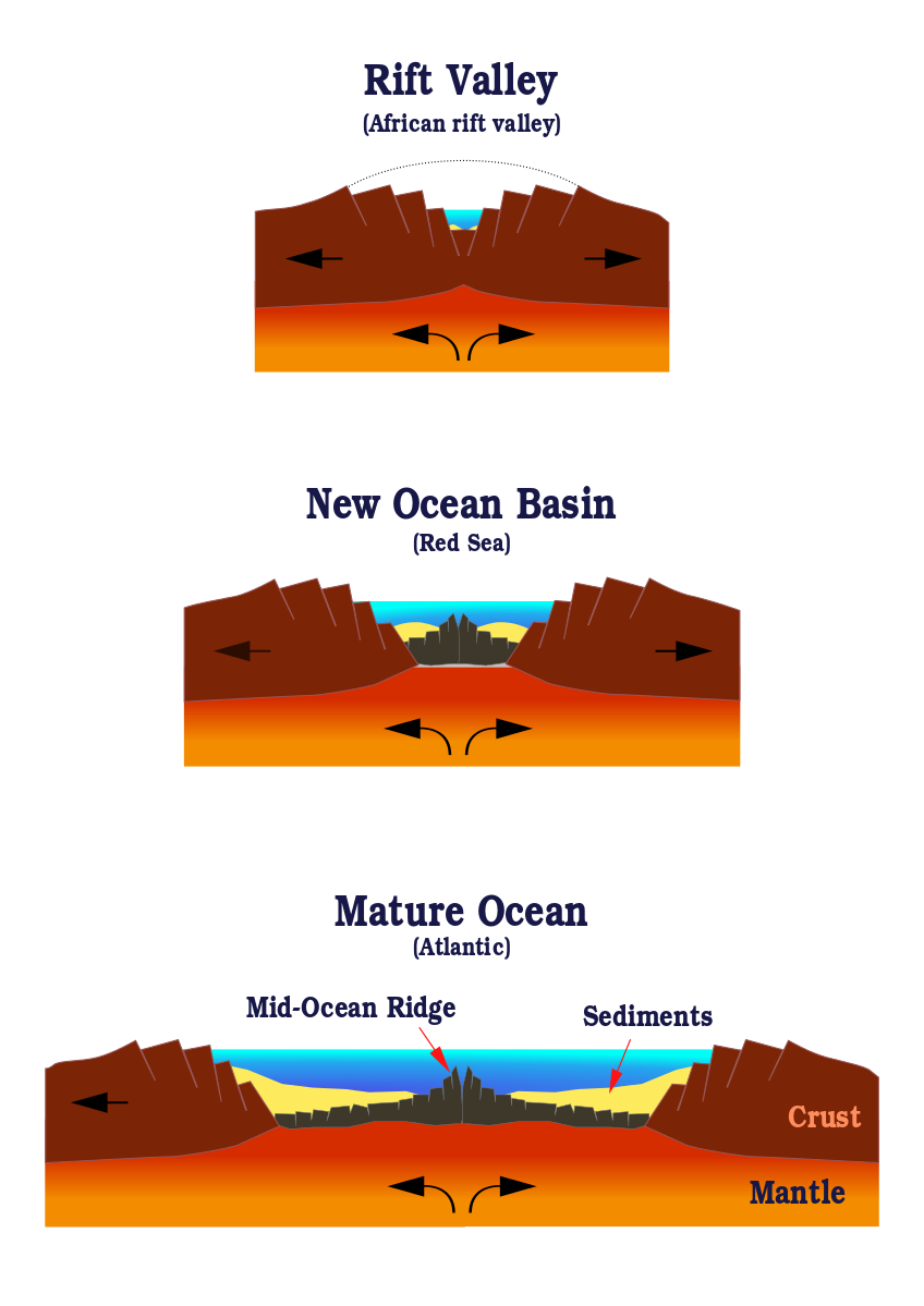 Three cross sectional diagrams showing the progression from a rift valley to a mid-ocean ridge. In the first diagram, the cross section shows a rift that's splitting apart a land mass with the analogy of the present-day African rift valley. In the second diagram, the cross section shows a new ocean basin after the rift has spread enough that sea water fills it in, with the analogy of the present-day Red Sea. In the third and final diagram, the cross section shows a mature ocean basin after the rift has spread so far that the spreading center has now become a mid-ocean ridge, with the analogy of the present-day Atlantic Ocean.