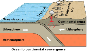 Block diagram showing oceanic crust moving toward the right where it collides with continental crust and subducts down beneath it. Above the contact between the two plates, there is an ocean trench. There is a volcanic arc on top of the continental plate, above where the oceanic crust has subducted beneath it.