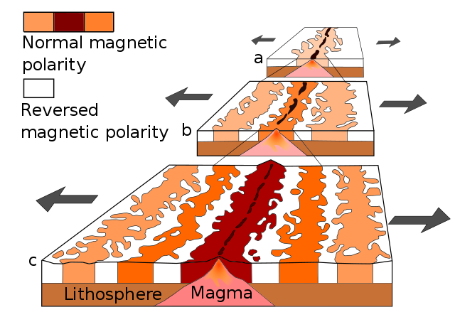 A series of 3 block diagrams showing a time progression of a spreading center getting wider and wider while the magnetic field of the Earth flips back and forth, being recorded in the currently-forming igneous rocks at the mid-ocean ridge.