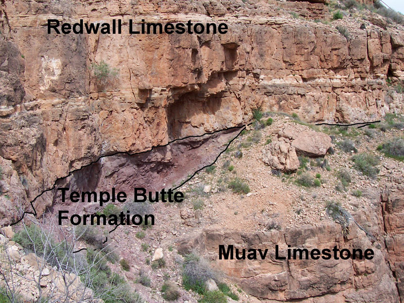 Cliffside outcrop with reddish tan thick flat-lying layers at the top labeled "Redwall Limestone;" below the left part of the Redwall Limestone is a wedge-shaped brick red layer labeled "Temple Butte Formation;" below the right part of the Redwall Limestone and below the Temple Butte Formation are tannish brown flat-lying layers labeled "Muav Limestone."