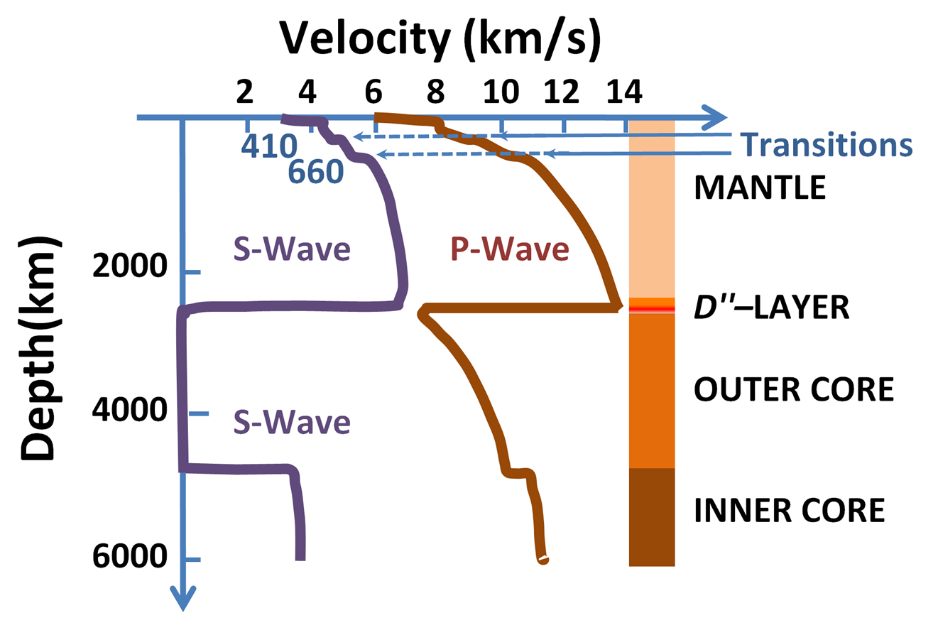 Graph showing velocity of seismic waves in km/s increasing toward the right from 0 to 14 and depth in km increasing downward from 0 to 6000. S-wave is plotted in purple and increases velocity downward from approximately 3 km/s at 0 km depth to 6.5 km/s at 2900 km depth; at 2900 km the S-wave curve goes down to 0 km/s until it reaches 4600 km depth, where it increases to 4 km/s downward from there. P-wave is plotted in brown and increases velocity downward from approximately 6 km/s at 0 km depth to 14 km/s at 2900 km depth; at 2900 km the S-wave curve goes down to 7 km/s and begins increasing downward to 11 km/s at 6000 km depth. On the right-hand side of the diagram is a vertical bar with Mantle labeled at 0 to 2900 km depth, D''-layer labeled at 2900 to 3000 km depth, Outer Core labeled at 3000 to 5100 km, and Inner Core labeled at 5100 km to the bottom of the graph.