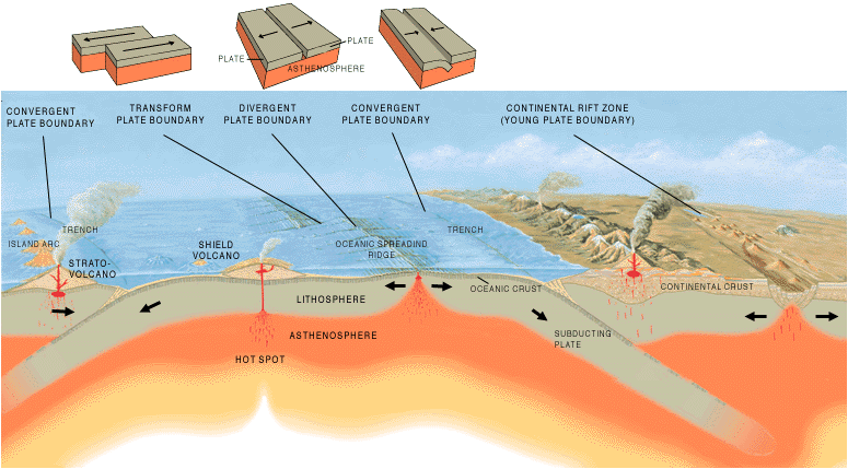 3D diagram showing a cross section into Earth's crust. On the left-hand side is a convergent plate boundary, with a plate of oceanic crust colliding into another plate of oceanic crust. The oceanic crust on the right-hand side subducts toward the left and a line of volcanoes forms on the overriding oceanic plate as a volcanic island arc. To the right of that, there is a shield volcano on the lithosphere beneath the ocean with a hot spot feeding the volcano from below. To the right of the shield volcano, there is a divergent plate boundary where two oceanic plates move away from each other. There is a transform plate boundary labeled to the left of the divergent boundary. To the right of the divergent boundary, oceanic crust moves toward the right, colliding with continental crust. The oceanic crust subducts beneath the continental crust, forming a chain of continental volcanoes on top of the continental crust. To the farthest right of the diagram, there is a continental rift zone where the continental crust is splitting apart.