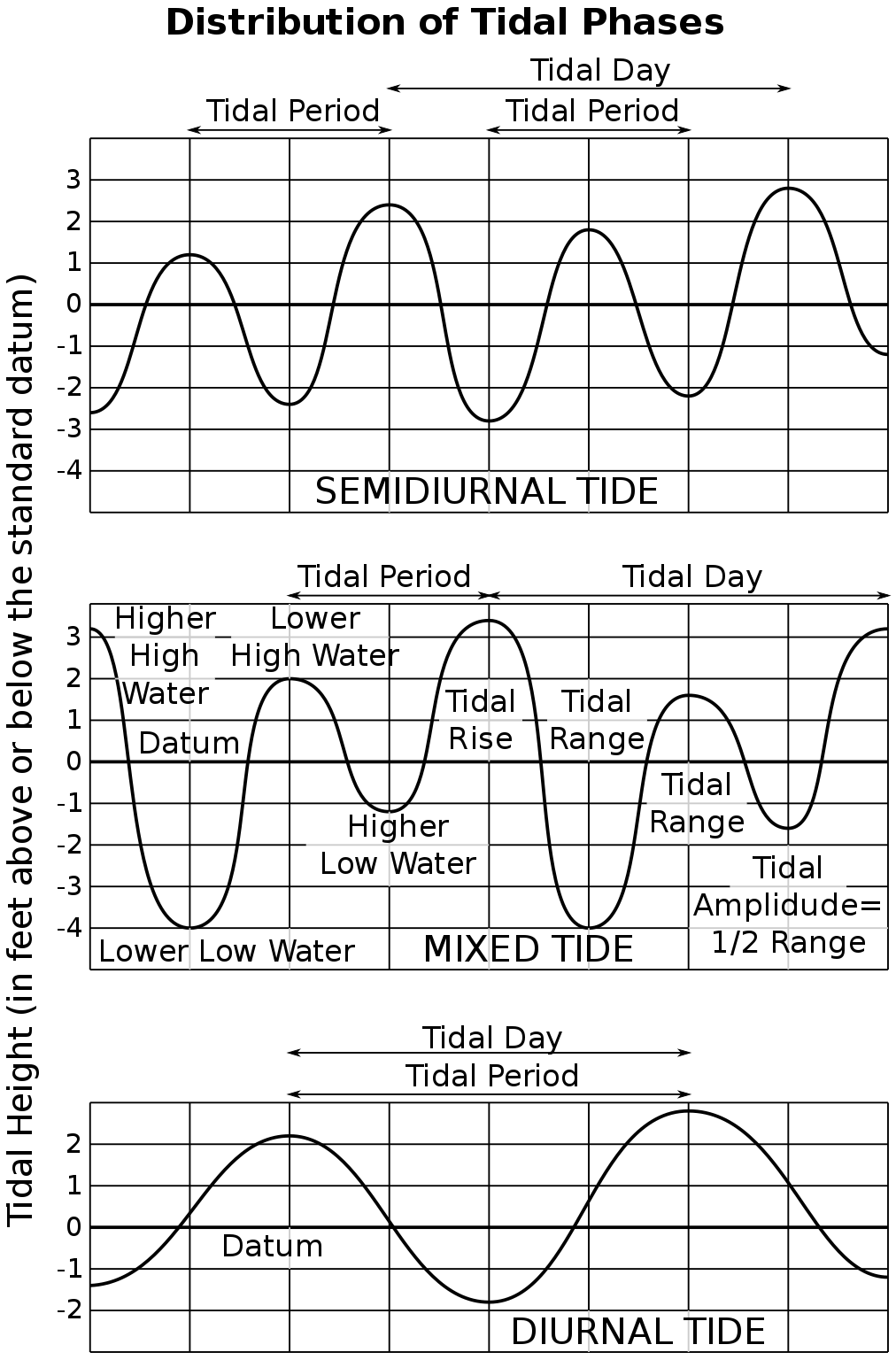 Three graphs with tidal height along the vertical axis and time along the horizontal axis. The first graph shows semidiurnal tide, during which tides go through two complete cycles in each tidal day, with the tidal range varying slightly in each cycle. The second graph shows mixed tide, during which tides go through a combination of diurnal and semidiurnal patterns and show two tidal cycles per tidal day, but the relative amplitudes of each cycle and their highs and lows vary during the tidal month. The third graph shows diurnal tide, during which tides go through one complete cycle each tidal day with similar tidal ranges.